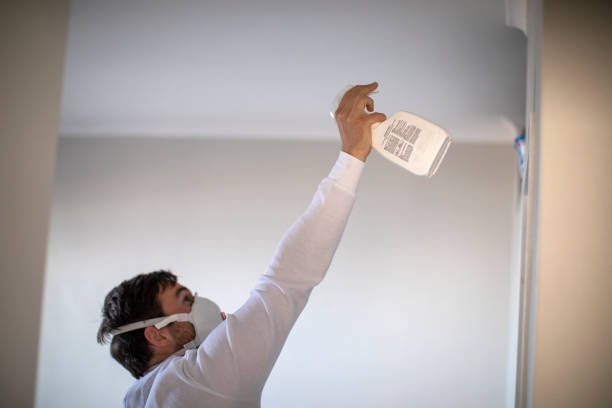 Best Crawl Space Mold Removal  in Warren, OH